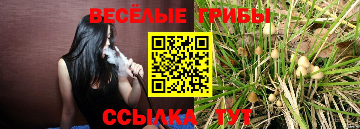 Галлюциногенные грибы ЛСД  наркошоп  Ярцево  Псилоцибиновые грибы ЛСД  Вход с VPN 